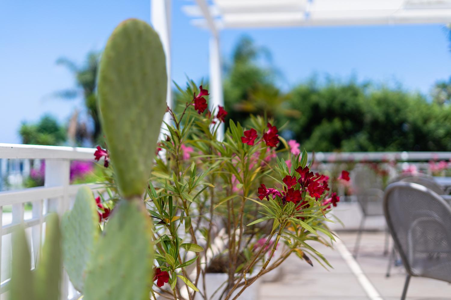 מסינה Le Dune Beach Club מראה חיצוני תמונה